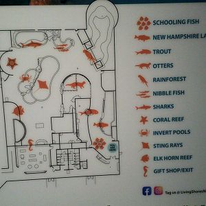 living shores aquarium map