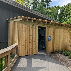 New Red Panda indoor viewing shelter