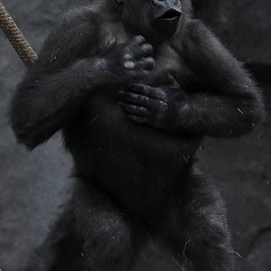 Nearly 7 year old Zachary