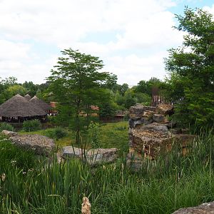 African lion exhibit and African village eating areas seen from the upper level of The Land of Origins, 2022-06-28