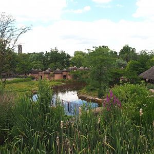 View from the upper level of The Land of Origins, 2022-06-28