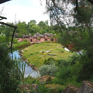 Spotted hyena exhibit, 2022-06-28