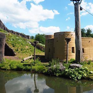 Kikuyu Colobus house and parts of Western lowland gorilla island and volcano, 2022-06-28