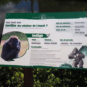 Example of Western lowland gorilla identification signage, 2022-06-28
