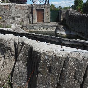 Exhibit under renovation next to the Cape fur seal exhibit, 2022-06-28