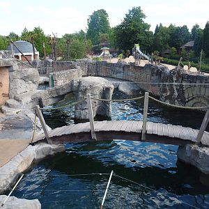 Cape fur seal exhibit, 2022-06-28