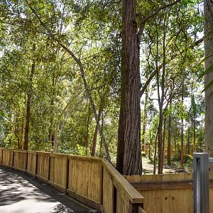 New Enclosure (under construction)