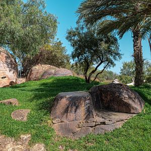 Lion Camp bridge view