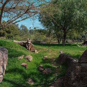 Lion Camp bridge view