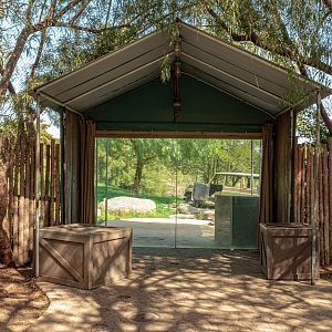 Lion Camp research tent view