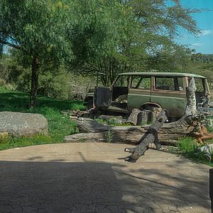 Lion Camp research tent viewing window