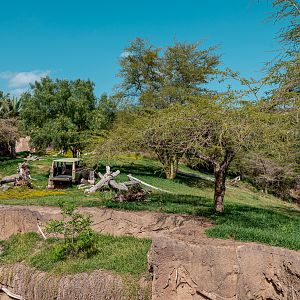 Lion Camp second bridge view