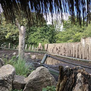 Indian rhino enclosure