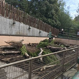Cape porcupine enclosure
