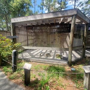 Birds Of Prey Center - Kite enclosure