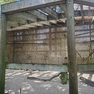 Birds Of Prey Center - Hawk enclosure