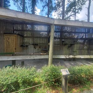 Birds Of Prey Center - Peregrine Falcon enclosure