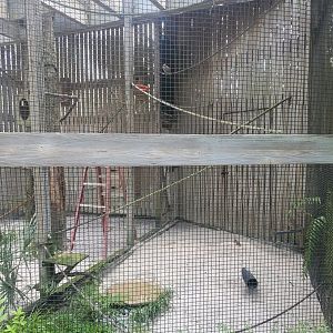 Birds Of Prey Center - Burrowing Owl enclosure