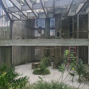 Birds Of Prey Center - Eastern Screech Owl enclosure