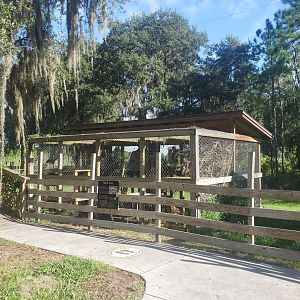 Back To Nature Wildlife Refuge - Red Fox enclosure