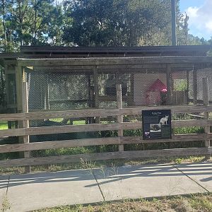 Back To Nature Wildlife Refuge - Gray Fox enclosure