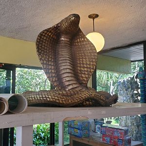 Reptile World Serpentarium - Cobra statue