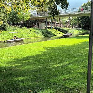 Boat Ride and Pachyderm  Enclosure