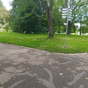 General View and wild European red Squirrel