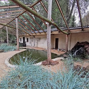 Wader aviary