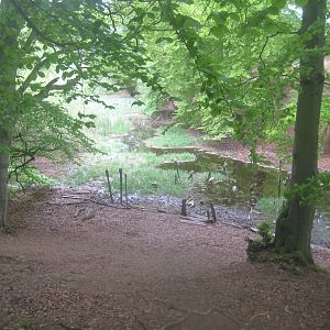 Sagnlandet Lejre - Sacrificial bog