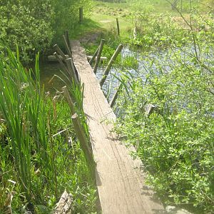 Sagnlandet Lejre - Stone Age-inspired bridge