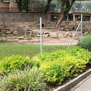 First part of Goitered Gazelle Enclosure