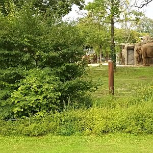 Rotational Pachyderm Enclosure