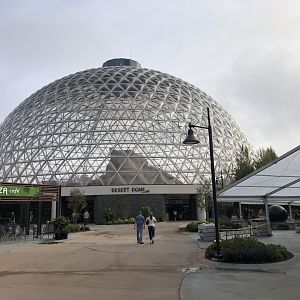 Desert Dome/Kingdoms of the Night