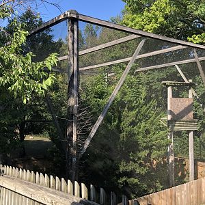 Golden Eagle Exhibit