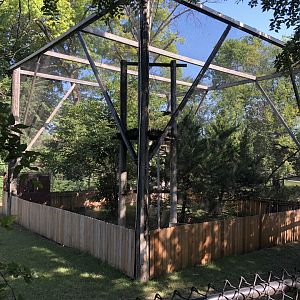 Golden Eagle Exhibit