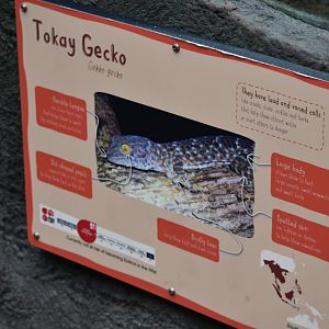 Signage for tokay gecko