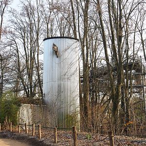 Tree-top walk structures, 2021-12-22