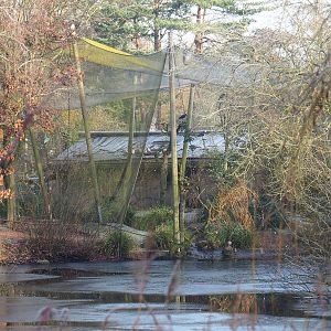 Australian waterfront aviary, 2021-12-22
