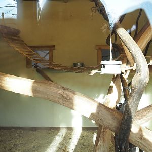 Indoor lemur housing, 2021-12-22