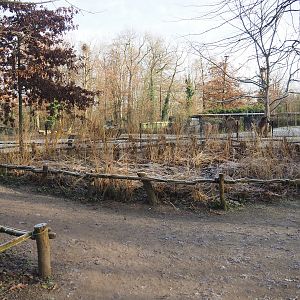 Prairie exhibit viewing area, 2021-12-22