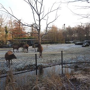 Prairie exhibit, 2021-12-22