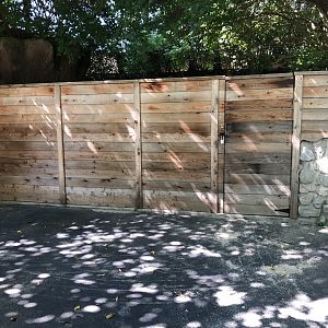 Presumably Old Tasmanian Devil Exhibit