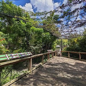 Asian Gardens - Sulawesi Aviary
