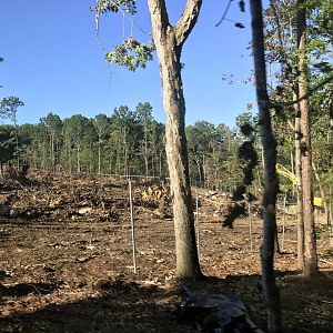 NC Zoo: Asia Construction Site-Sept 12, 2022