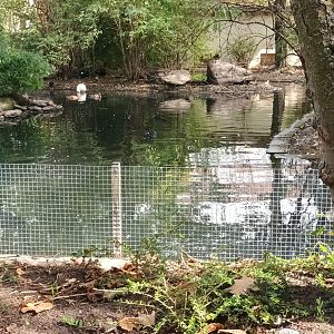 Waterfowl Pond and Monkey Island