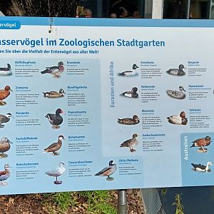 Waterfowl Pond Signage