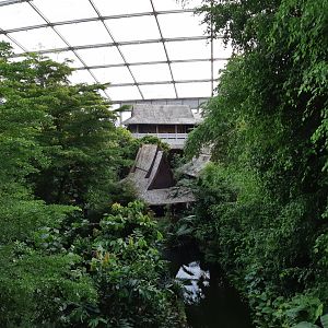Gondwanaland - view from gallery - Zoo Leipzig