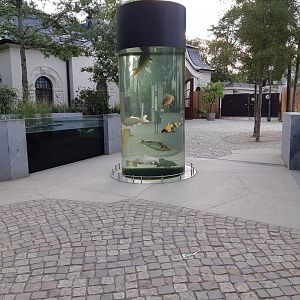 Koi carp tower - Zoo Leipzig