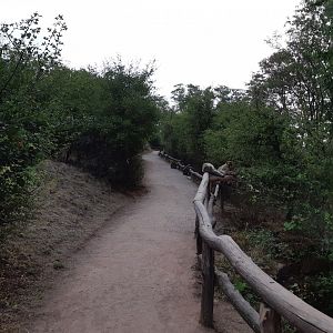 Barbary macaque walkthrough exhibit - Zoopark Erfurt